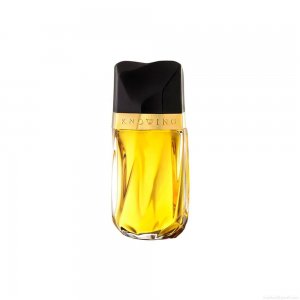 Perfume Estée Lauder Knowing Feminino Eau de Parfum 75 ml